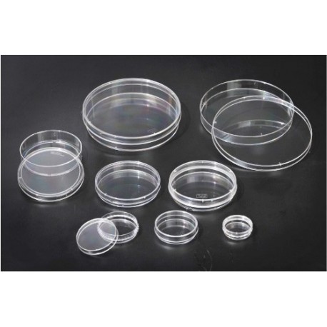 Placa de Petri - SPL - 100 x 20 mm - Embalagem com 10 peças