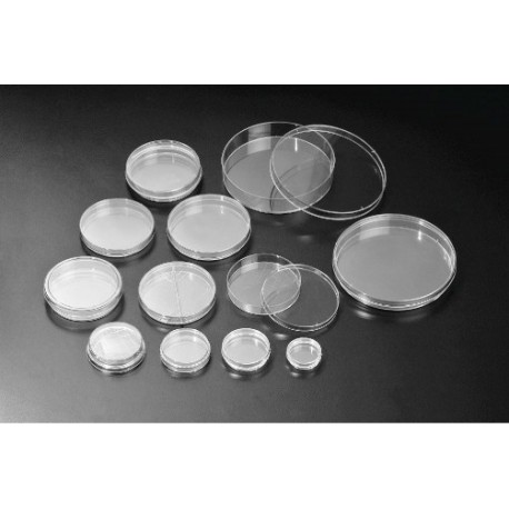 Placa de Petri SPL - 35 x 10 mm - sem tratamento - Embalagem c/ 20 peças