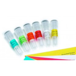 Etiqueta Retangular Impressão Laser tb 0,5ml Branca FL/119