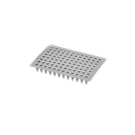 Microplaca Axygen PCR-96-LP-FLT-C S/Borda PT5