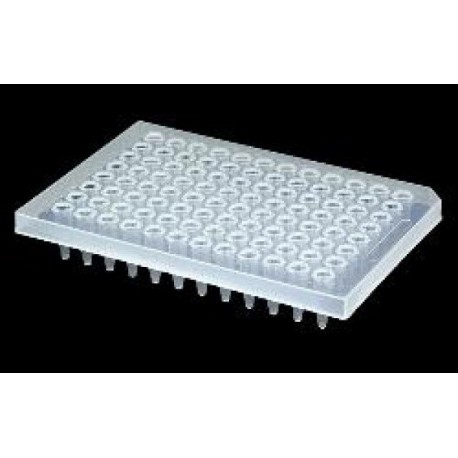 Microplaca Axygen PCR-96M2-HS-C Meia Borda PT/10