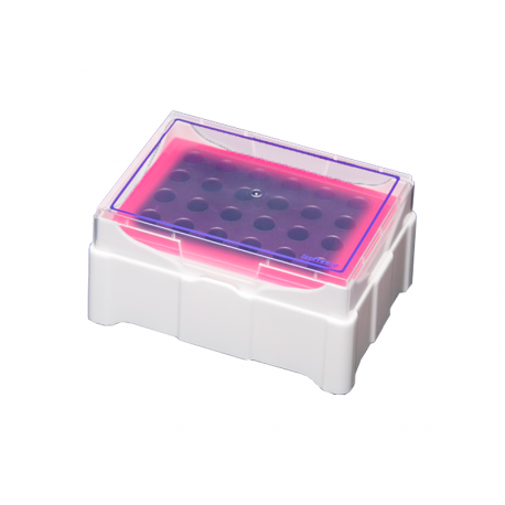 Rack Cooler (Purple/Pink) - c/Tampa - 4ºC - p/3,5 horas - p/tubos 0,5/2.0 ml - SSIbio