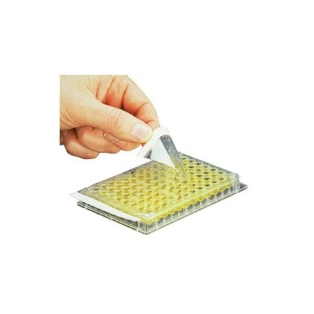 Filme Adesivo Axygen PCR-SP p/ Elisa CX/100