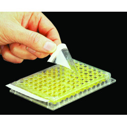 Filme Adesivo - Axygen - PCR-SP-S p/Elisa pct/100