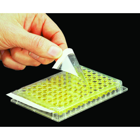 Filme Adesivo - Axygen - PCR-SP-S p/Elisa pct/100